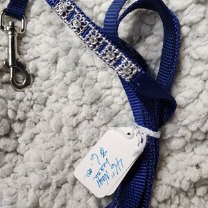 Blue Dog Leash with Rhinestone Accents